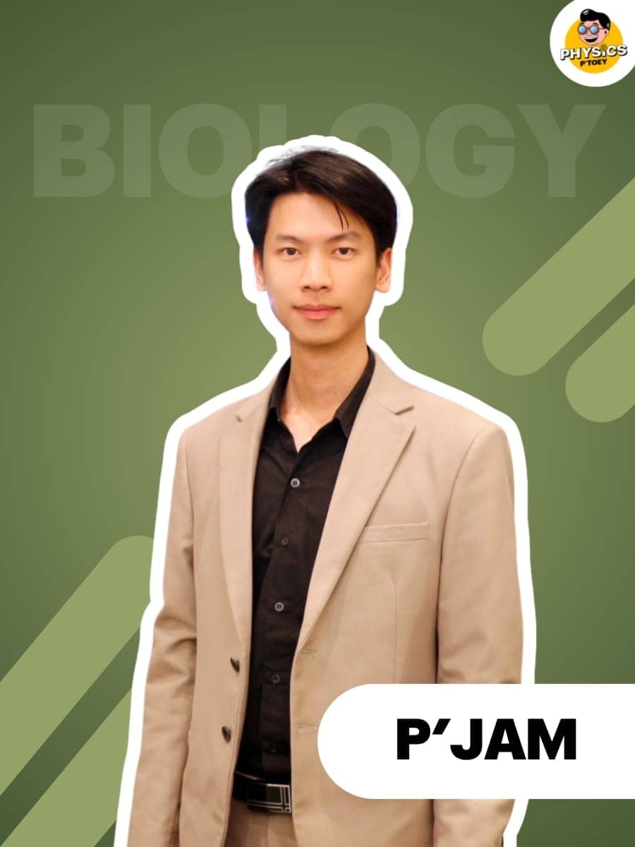 ครูพี่แจม